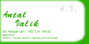 antal valik business card